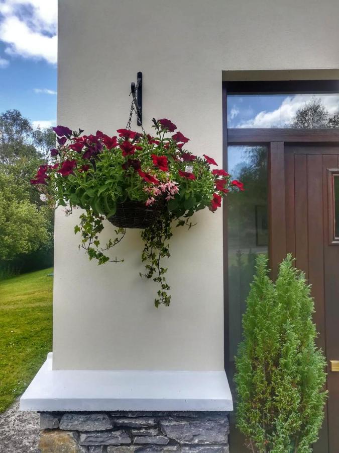 Bed and Breakfast Two Eggs Kenmare Exterior foto